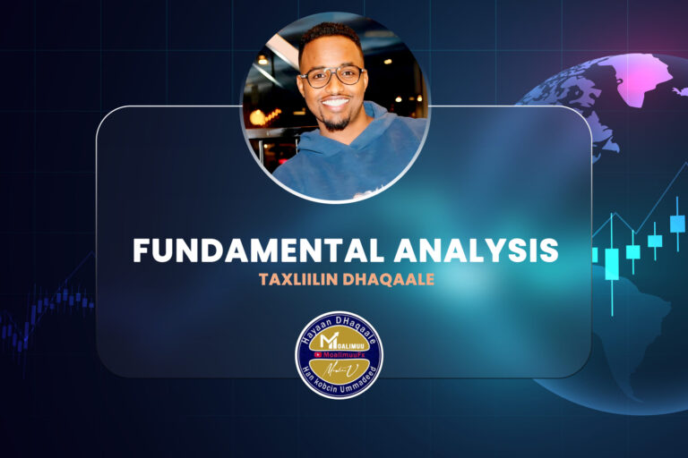 Fundamental Analysis