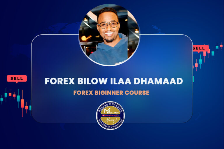 Forex Beginner Course